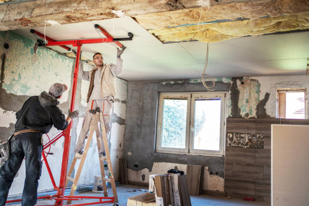 Best Residential Insulation in Lincolnia, VA