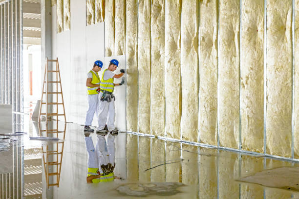 Best Insulation Materials and Products in Lincolnia, VA
